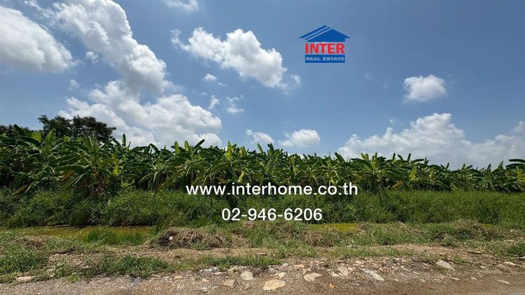 ไม่ใช่ ที่ดินเปล่า 5 ไร่ 52.1 ตร.ว. ที่ดินเปล่า ใกล้ปั้มShellนิพนธ์บริการ ถนนกาญจนาภิเษก ถนนรังสิต-นครนายก ธัญบุรี ปทุมธานี รูปที่ 4