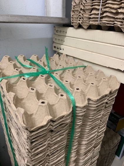 แผงไข่มือสอง