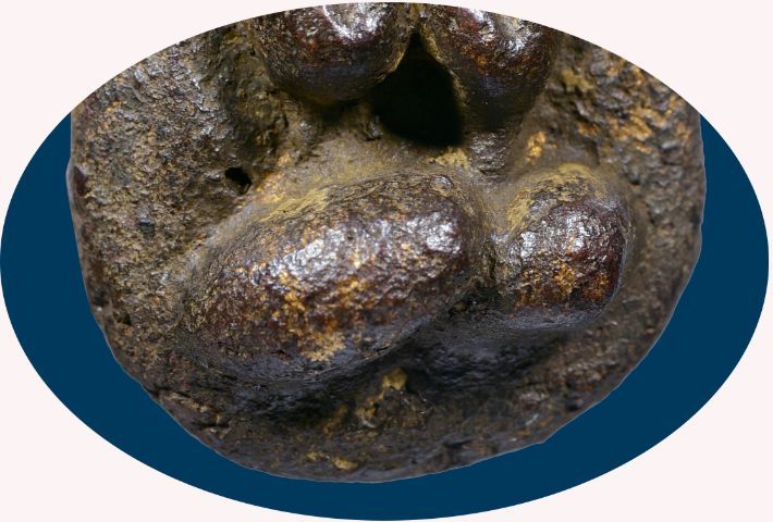 พระปิดตาหลวงปู่ไข่ วัดเชิงเลน พิมพ์แข้งหมอน หลังจารมือ รูปที่ 5