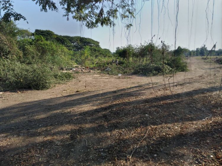 ขายที่ดินสารภี ใก้ลเมือง 10 นาที  รูปที่ 2