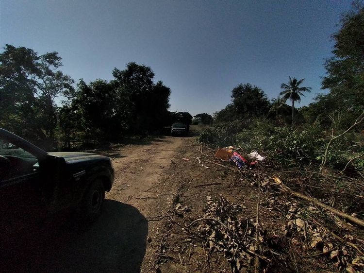 ขายที่ดินสารภี ใก้ลเมือง 10 นาที  รูปที่ 4