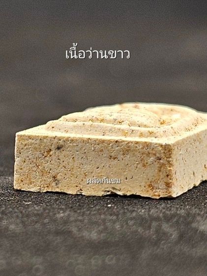 หลวงพ่อทวด พิมพ์สมเด็จ 
รุ่นที่ระลึกพระบรมสารีริกธาตุศรีลังกา ปี 2548  รูปที่ 7