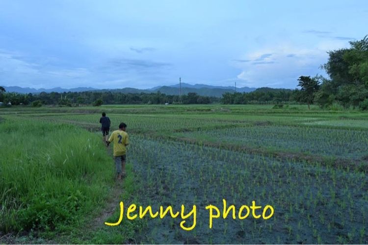 ที่ดินสวย เหมาะทำรีสอร์ทเชิงเกษตรเท่อวเที่ยว รูปที่ 4