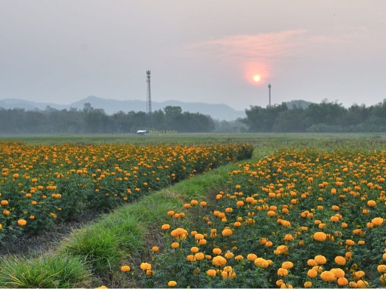 ที่ดินสวย เหมาะทำรีสอร์ทเชิงเกษตรเท่อวเที่ยว