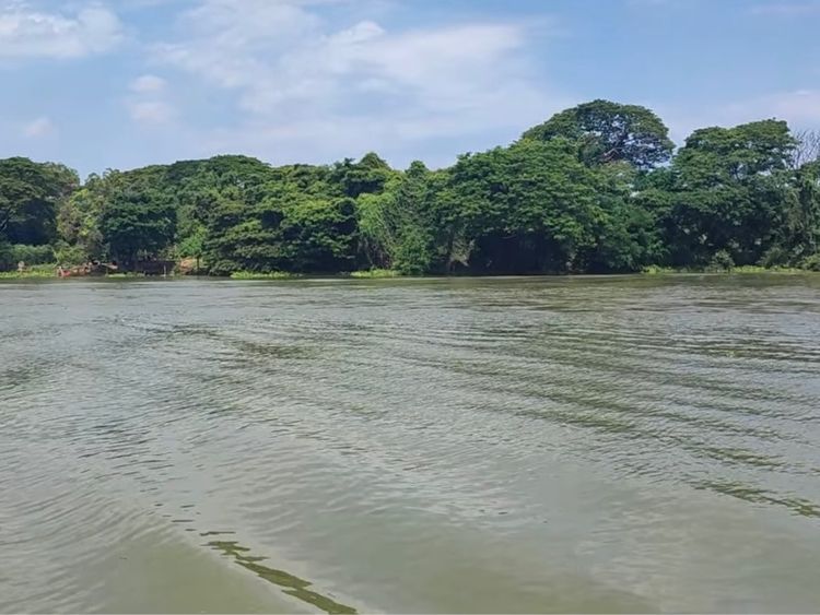 ที่ดินเปล่าติดริมแม่น้ำเจ้าพระยา บางปะอิน อยุธยา