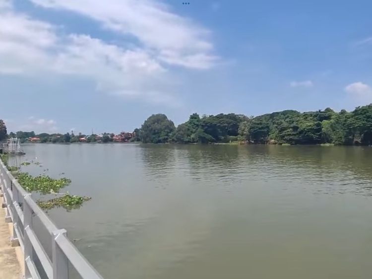 ที่ดินเปล่าติดริมแม่น้ำเจ้าพระยา บางปะอิน อยุธยา รูปที่ 3