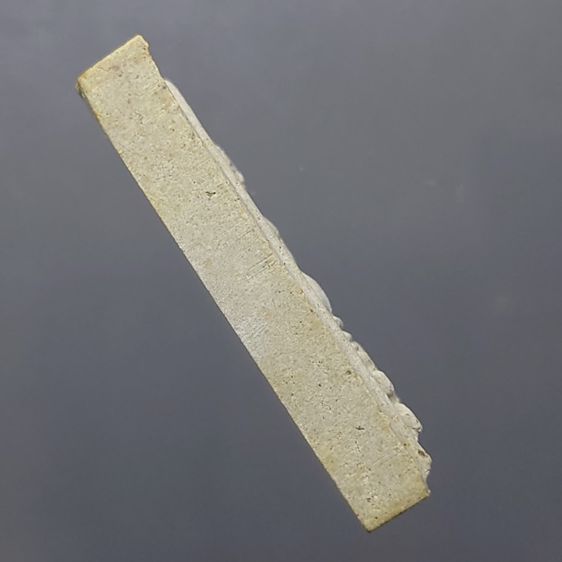 พระพุทธชินสีห์ ภปร ทันโตเสฏโฐ เนื้อผง พิมพ์ใหญ่ มวลสารผสมผงพระทนต์ในหลวง(ฟัน)และผงจิตรลดา พ.ศ.2533 พร้อมกล่องเดิม รูปที่ 6