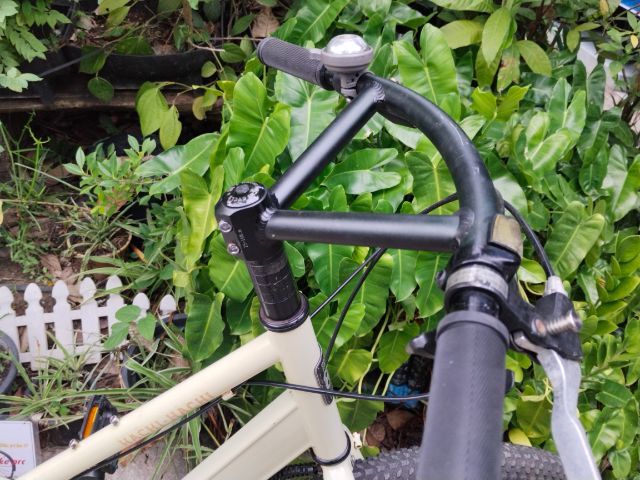 HACHI HACHI 88 รูปที่ 6