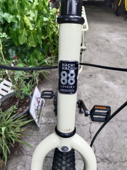 HACHI HACHI 88 รูปที่ 9