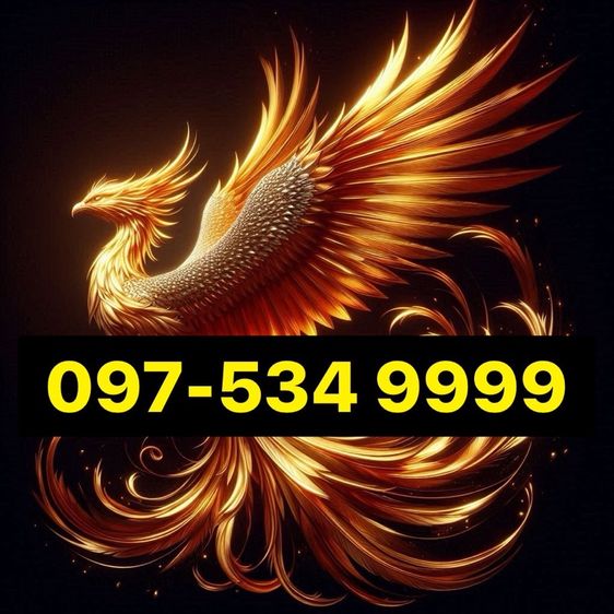 เบอร์สวย จำง่ายๆ ถูก 9999  Freshsim 