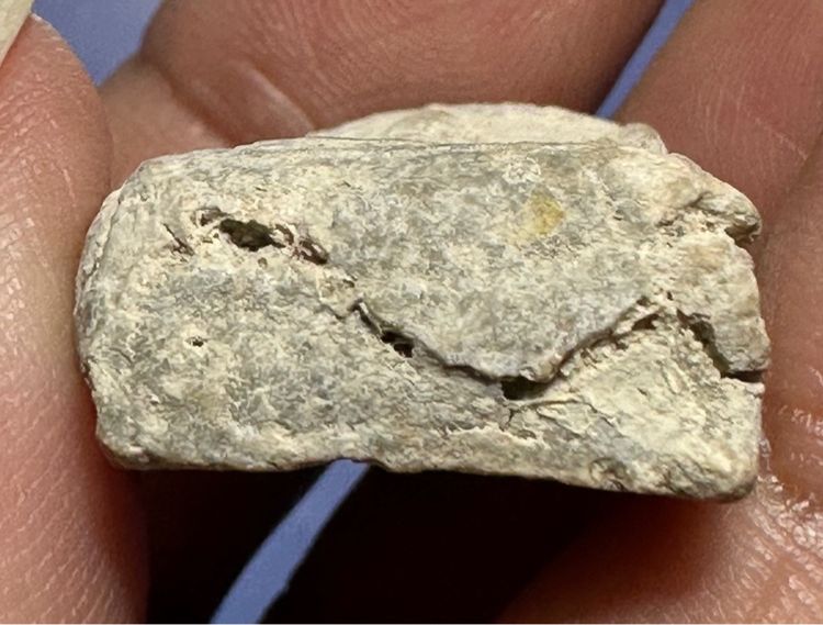 🙏พระสมเด็จบึงพระยาสุเรนทร์ กรุใหม่🙏 พระวัดประสาทฯ พิมพ์หลวงปู่ศุขพิมพ์เล็ก เนื้อผง ปี2506 องค์ละ1550 รูปที่ 6