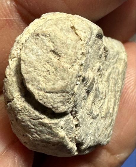 🙏พระสมเด็จบึงพระยาสุเรนทร์ กรุใหม่🙏 พระวัดประสาทฯ พิมพ์หลวงปู่ศุขพิมพ์เล็ก เนื้อผง ปี2506 องค์ละ1550 รูปที่ 5