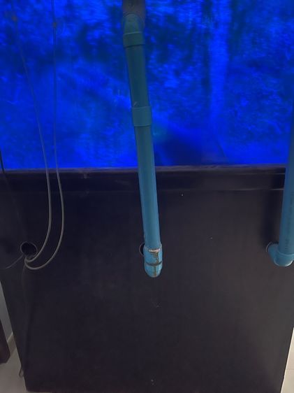 ตู้ปลา รูปที่ 5