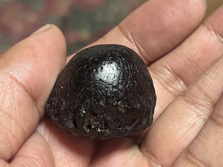 คุตเก่าโบราณ การันตีแท้