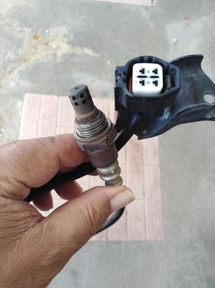 เซ็น​เซอร์​ฟีลา​โน่​แท้​ รูปที่ 5