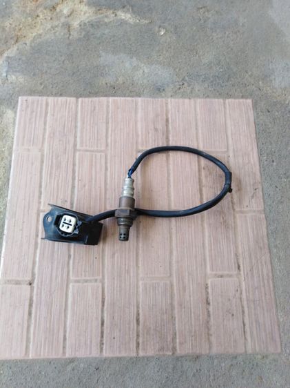 อื่นๆ เซ็น​เซอร์​ฟีลา​โน่​แท้​