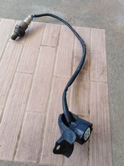 เซ็น​เซอร์​ฟีลา​โน่​แท้​ รูปที่ 2