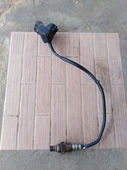 เซ็น​เซอร์​ฟีลา​โน่​แท้​ รูปที่ 4