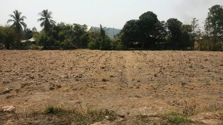 ที่ดินถมแล้ว เนื้อที่ 12ไร่ 3งาน 87ตรว.  รูปที่ 3