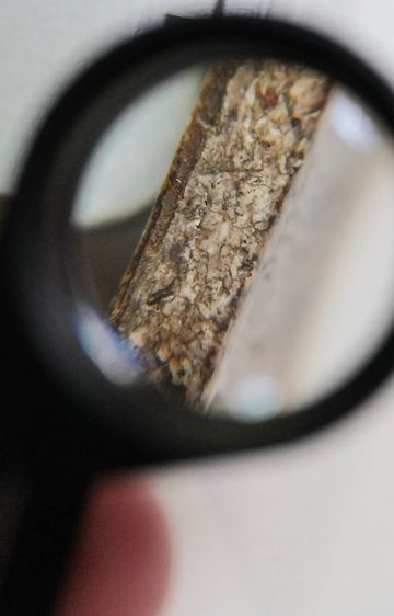 พระสมเด็จวัดระฆัง SDJ008 รูปที่ 3