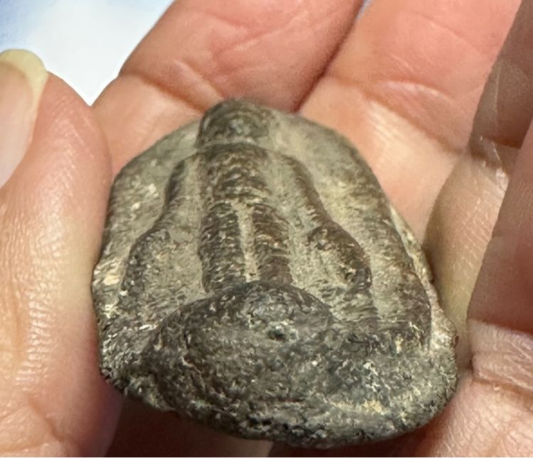 พระเนื้อดิน เปิดโลก รูปที่ 7