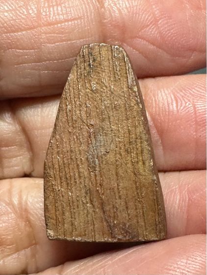 🙏เซียนแปะ หัวตะเข้ ปี2505 ประสบการณ์ดี ค้าขาย โชคลาภ เมตตามหานิยม🙏เหรียญหล่อโบราณเนื้อชิน ล.ป.ศุข วัดปากคลอง องค์ละ1250  รูปที่ 2