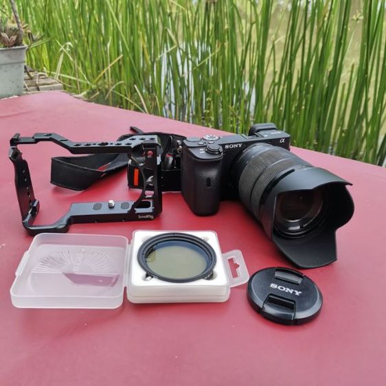 Sony A6600-เลนส์