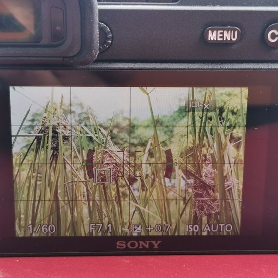 Sony A6600-เลนส์ รูปที่ 8