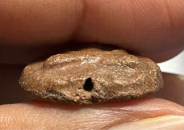 พระเนื้อดิน วัดลิงขบ รูปที่ 6