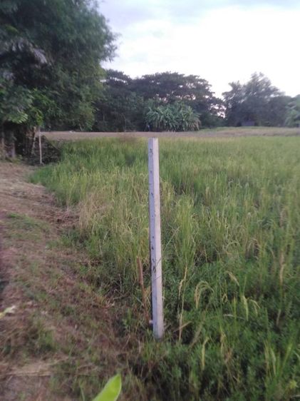 ที่ดินเปล่าจังหวัดเชียงใหม่