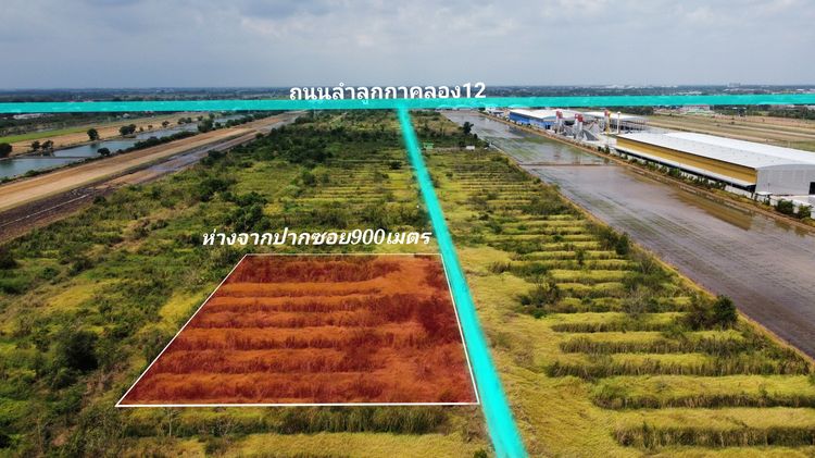 ขายที่ดินเปล่าราคาถูกมาก 3ไร่ ลำลูกกาคลอง12 ถ.ลำลูกกา ต.บึงคอไห อ.ลำลูกกา ปทุมธานี ขายถูกกว่าประเมินกรมที่ดิน