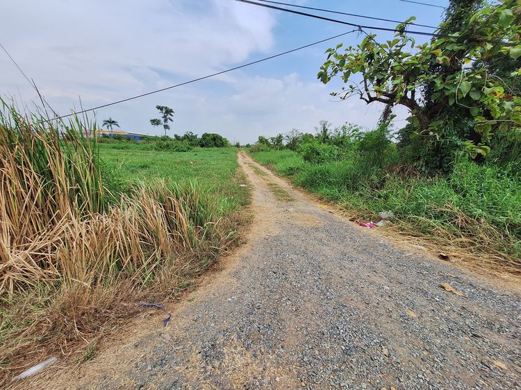 ขายที่ดินเปล่าราคาถูกมาก 3ไร่ ลำลูกกาคลอง12 ถ.ลำลูกกา ต.บึงคอไห อ.ลำลูกกา ปทุมธานี ขายถูกกว่าประเมินกรมที่ดิน รูปที่ 4