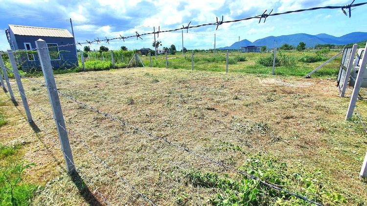 ที่ดินชะอำ ที่ดินพร้อมปลูกสร้าง เนื้อที่พอดี 47.7 ตร.วา  รูปที่ 2