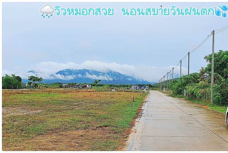 ที่ดินชะอำ ที่ดินพร้อมปลูกสร้าง เนื้อที่พอดี 47.7 ตร.วา  รูปที่ 4