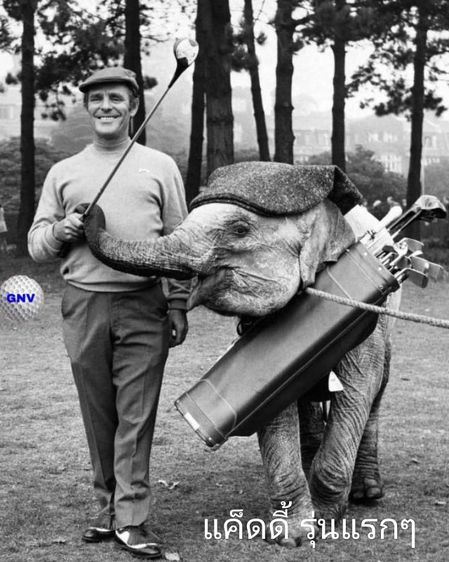 Simple Golf School เชียงใหม่ สอนแนวใหม่ ง่ายเป็นธรรมชาติ เป็นขั้นเป็นตอน โดยผู้มีประสพการกอล์ฟ กว่า 45 ปี เรารับประกันผลงาน ครับ รูปที่ 16