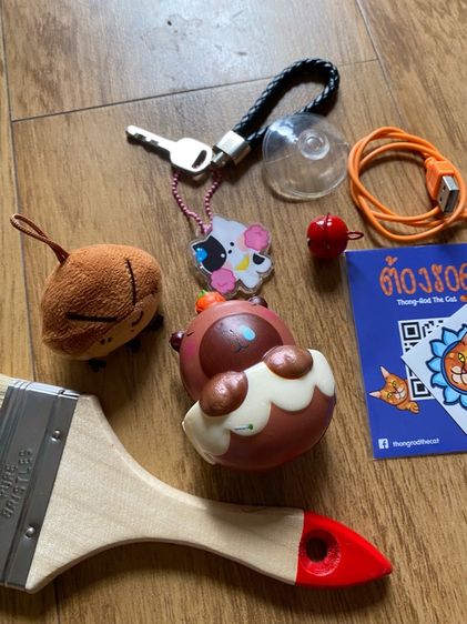 ของสะสม รูปที่ 3