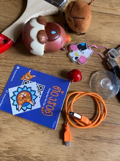 ของสะสม รูปที่ 2