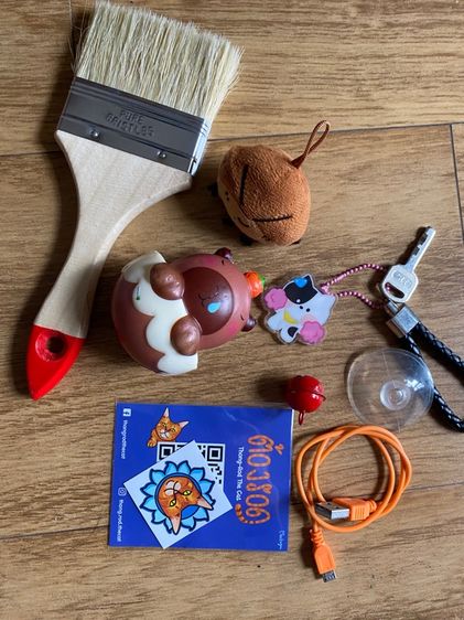 ของสะสม