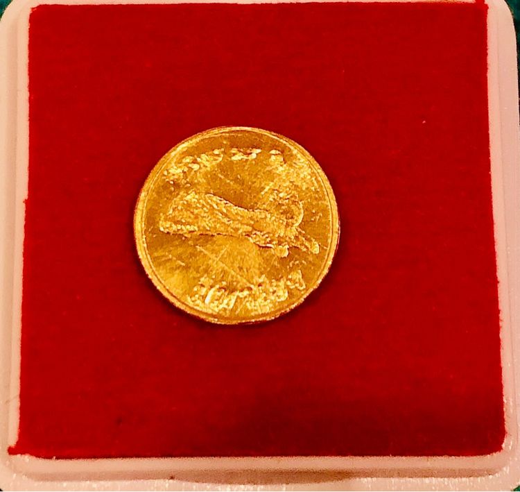 เหรียญหลวงพ่อสุด เสือมหาเฮง 