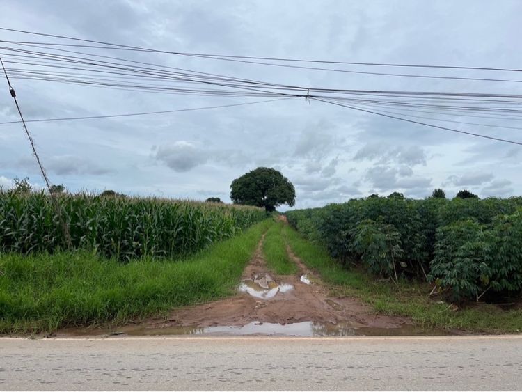ที่ดินปากช่องผืนสวยบริเวณฝั่งเขาใหญ่ -มองเห็นวิวเขาใหญ่ชัดเจน –อากาศดี- เดินทางสะดวกเข้าออกได้หลายทาง- ติดถนนดำ รูปที่ 4