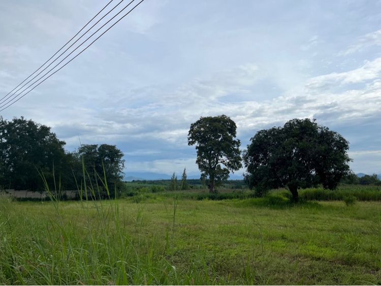 ที่ดินปากช่องผืนสวยบริเวณฝั่งเขาใหญ่ -มองเห็นวิวเขาใหญ่ชัดเจน –อากาศดี- เดินทางสะดวกเข้าออกได้หลายทาง- ติดถนนดำ รูปที่ 2