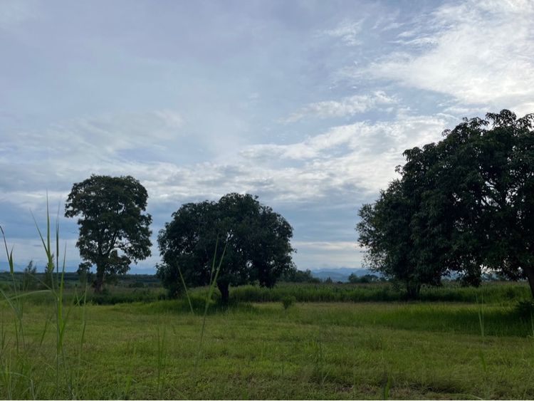 ที่ดินปากช่องผืนสวยบริเวณฝั่งเขาใหญ่ -มองเห็นวิวเขาใหญ่ชัดเจน –อากาศดี- เดินทางสะดวกเข้าออกได้หลายทาง- ติดถนนดำ รูปที่ 3