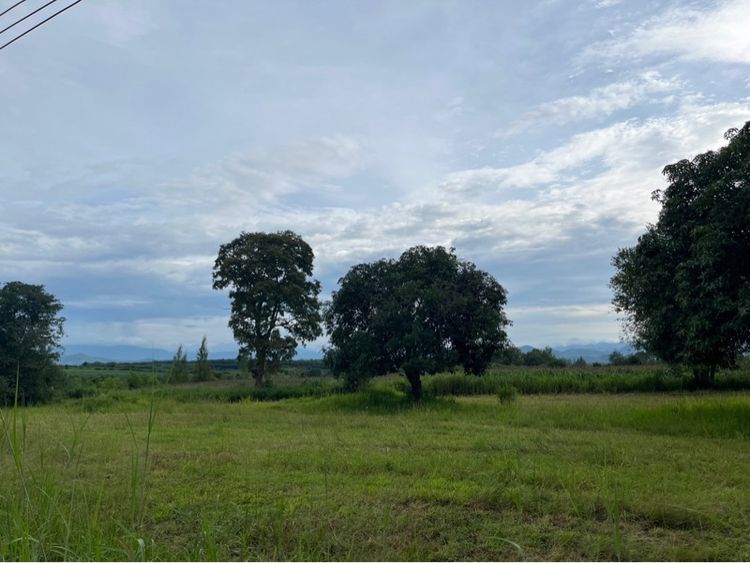 ที่ดินปากช่องผืนสวยบริเวณฝั่งเขาใหญ่ -มองเห็นวิวเขาใหญ่ชัดเจน –อากาศดี- เดินทางสะดวกเข้าออกได้หลายทาง- ติดถนนดำ