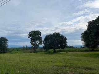 ที่ดินปากช่องผืนสวยบริเวณฝั่งเขาใหญ่ -มองเห็นวิวเขาใหญ่ชัดเจน –อากาศดี- เดินทางสะดวกเข้าออกได้หลายทาง- ติดถนนดำ
