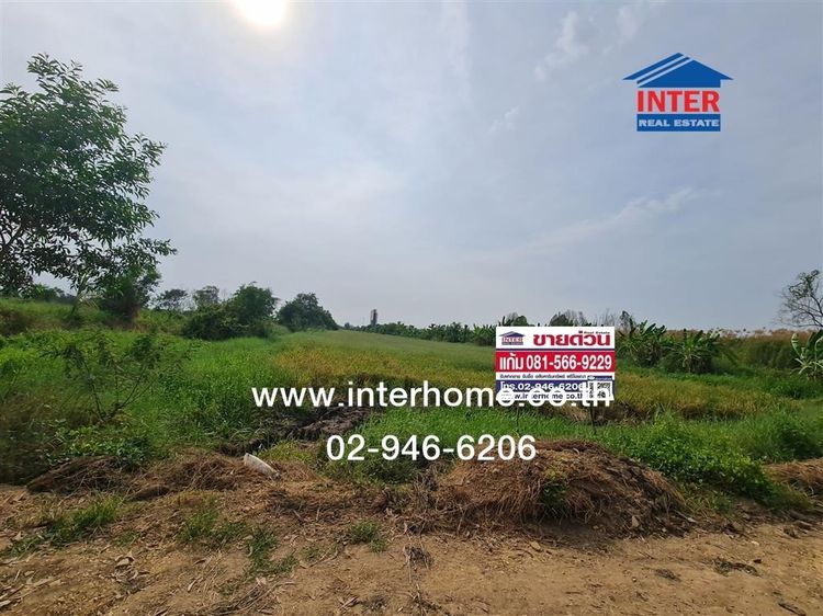 ไม่ใช่ ที่ดินเปล่า 600 ตร.ว. ที่ดินเปล่า ใกล้พิพิธภัณฑ์สถานแห่งชาติ ถนนคลอง5 ถนนคลอง5 ถนนวงแหวนกาญจนาภิเษก คลองหลวง ปทุมธานี รูปที่ 3