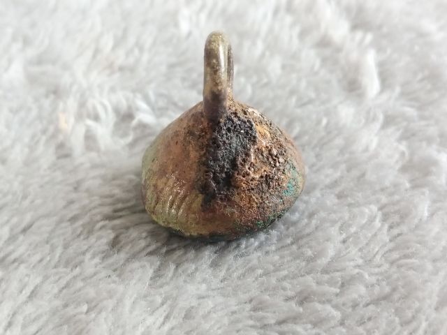 กระพรวน (สั่นมีเสียง) รูปที่ 10