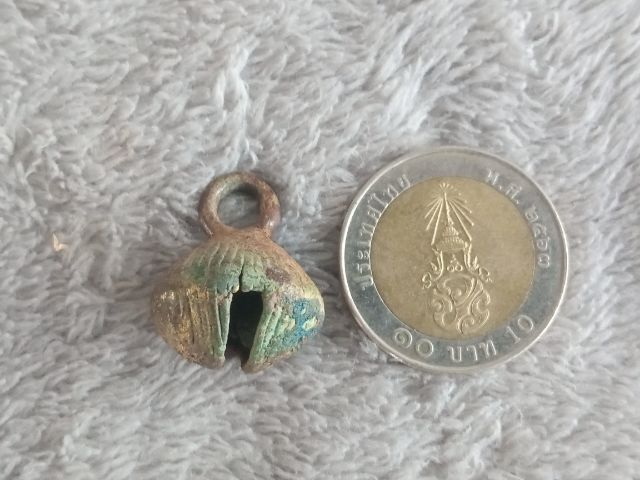 กระพรวน (สั่นมีเสียง) รูปที่ 11