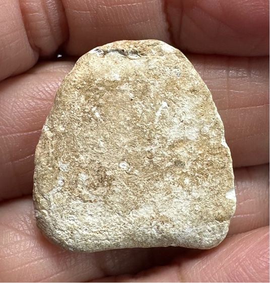 พระผงซุ้มชินราช กุวัดเงินคลองเตย รูปที่ 9