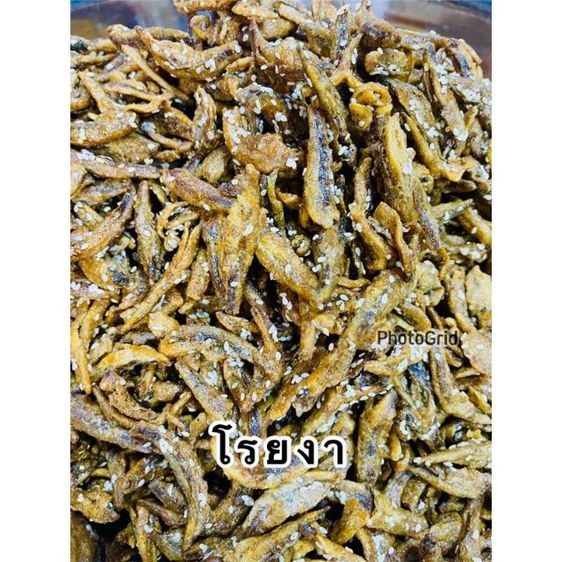 ปลากรอบสมุนไพร ปลากรอบสามรส ปลากรอบโรยงา พร้อมทานกรอบ อร่อยสดใหม่ รูปที่ 16