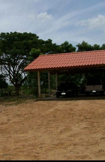 ที่ดินพร้อมสิ่งปลูกสร้าง11ไร่ครึ่งติดถนนกว้างน้ำไม่เคยท่วมติดแหล่งน้ำกว้างใกล้วัด.รร.ธกส. 7-11 ตลาดนัดสนใจ0835052583